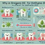 Oregano Oil for Toothache Benefits Uses and Precautions